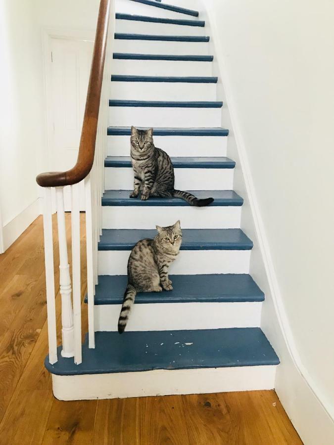 ホテル Camden Town House ロンドン エクステリア 写真
